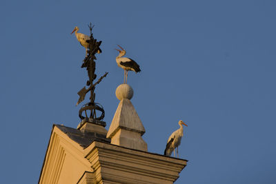 Low angle view of birds perching on temple against clear sky