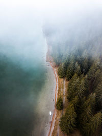 High angle view of trees on land