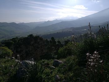 Scenic view of landscape against sky