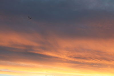 Low angle view of silhouette airplane against sky during sunset