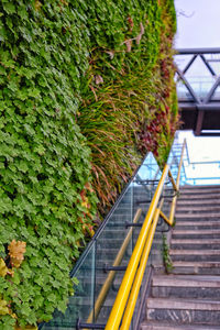 Close-up of yellow steps