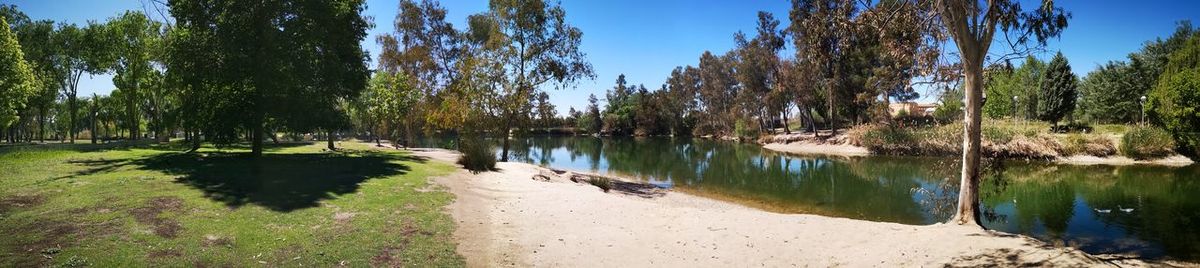 Panoramic view of lake and trees against sky