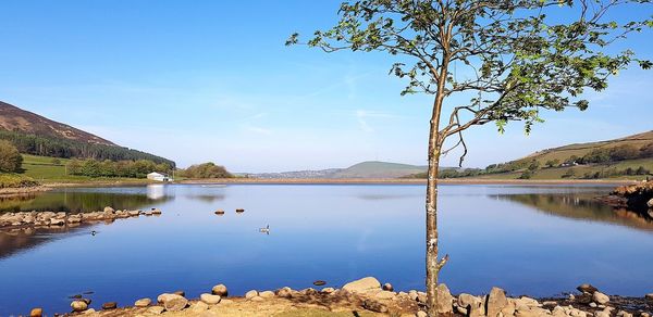 Scenic view of lake against blue sky