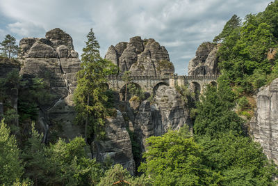 Trees on cliff against sky