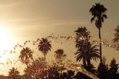 Silhouette palm trees against sky during sunset