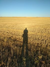 Shadow of man standing on field against clear sky