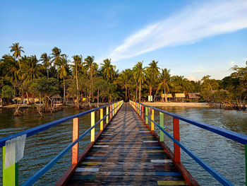 Narrow walkway along plants and trees against sky