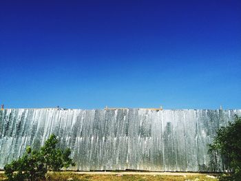 Low angle view of trees against clear blue sky