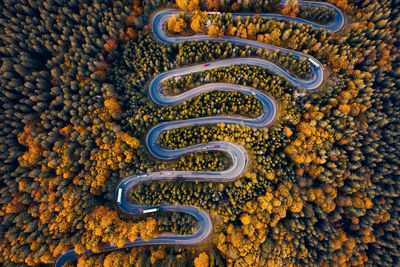 High angle view of yellow and orange leaf on railroad track