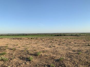 Scenic view of field against clear blue sky