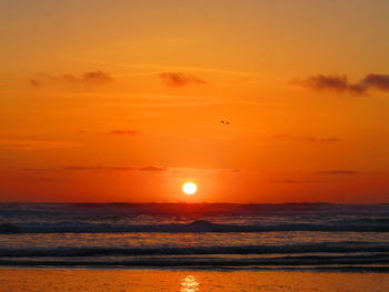 Scenic view of sea at sunset