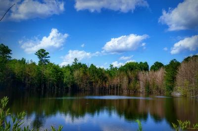 Scenic view of lake by trees against sky