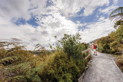 People walking on road by trees against sky