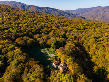 High angle view of trees on landscape during autumn, old shuamta, kakheti, georgia