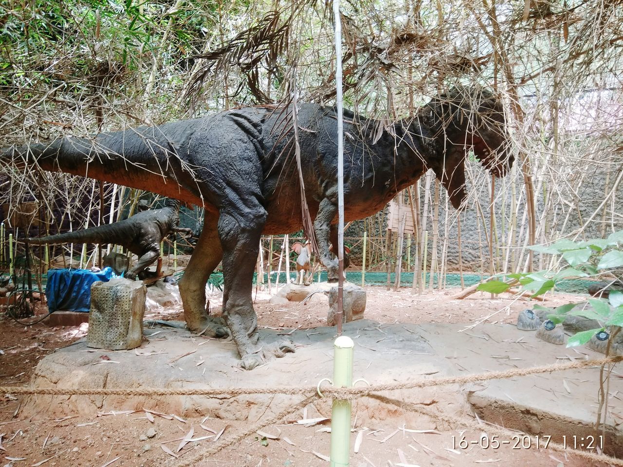 HORSE STANDING BY TREE