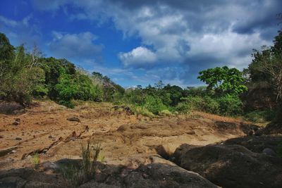 Scenic view of landscape against sky