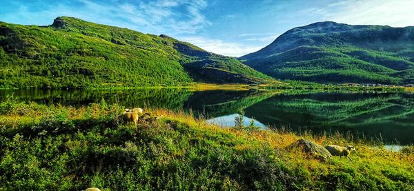 Scenic view of lake and mountains against sky