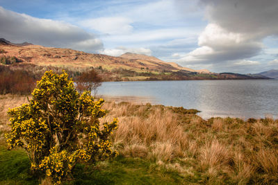 Scenic view of lake against sky