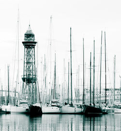 Sailboats sailing in sea against sky