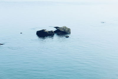 Scenic view of rock in sea