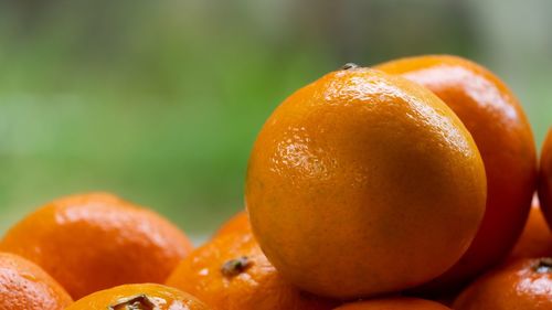 Close-up of oranges on table