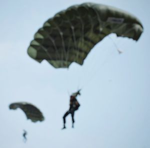 Low angle view of insect flying against sky