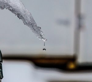 Close-up of ice crystals against blurred background