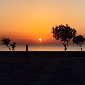 Silhouette of tree at sunset