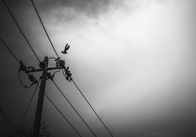 Low angle view of bird perching on electricity pylon against sky