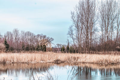Scenic view of lake against sky during sunset