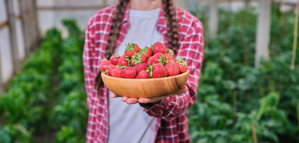 Female holding wood plate with fresh harvesting strawberry in family greenhouse