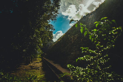 Scenic view of tree mountains against sky