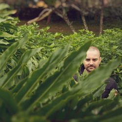 Portrait of man with shaved head standing amidst plants at park