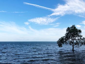 Scenic view of sea against blue sky