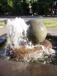 Water flowing on tree