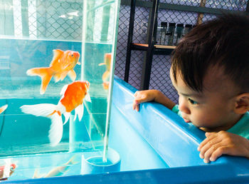 Boy looking at aquarium