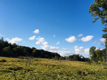 Scenic view of field against sky