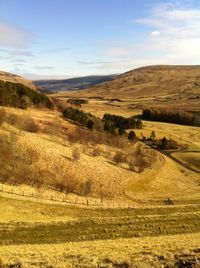 Scenic view of landscape