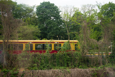 Plants by trees against sky