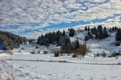Scenic view of snow covered trees against sky