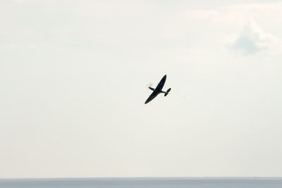 Low angle view of airplane flying in sky