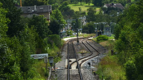 View of railroad track amidst trees