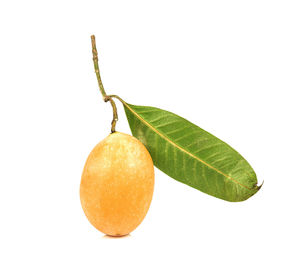 Close-up of fruit against white background