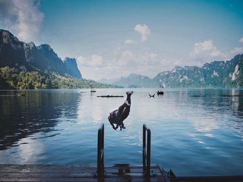 Birds on a lake