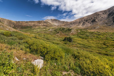 Landscape in the rocky mountains, colorado