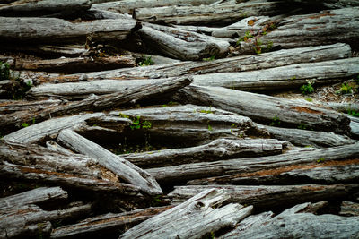 Full frame shot of logs