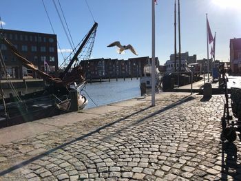 Sailboats in harbor against sky in city