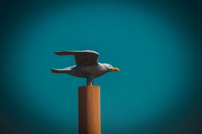 Low angle view of seagull on pole against clear blue sky