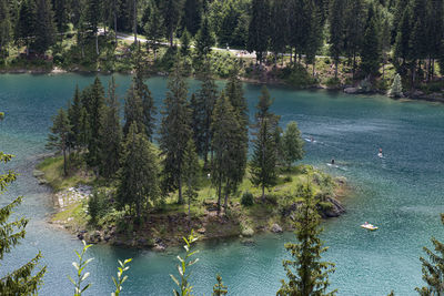 High angle view of lake in forest