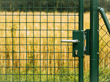 Close-up of metal fence by gate